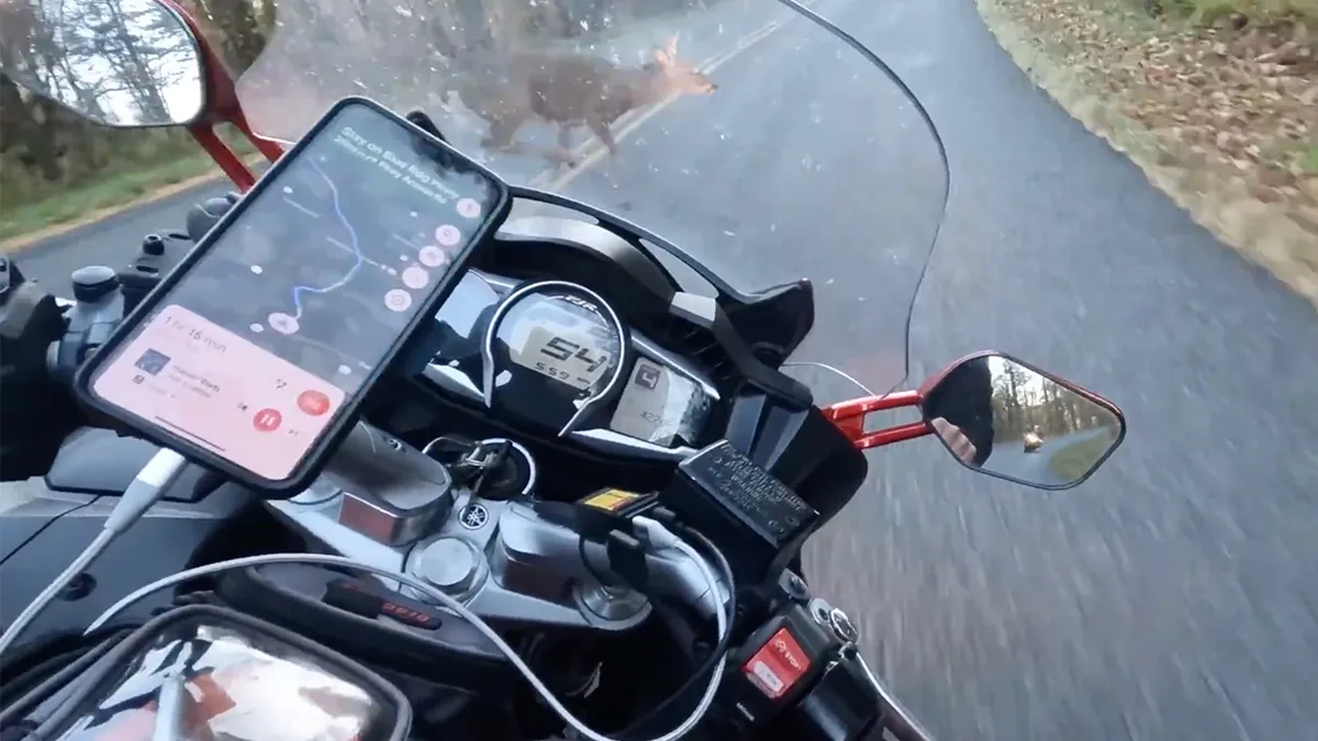 Motor wint van hert tijdens ritje in Amerikaanse staat Virginia