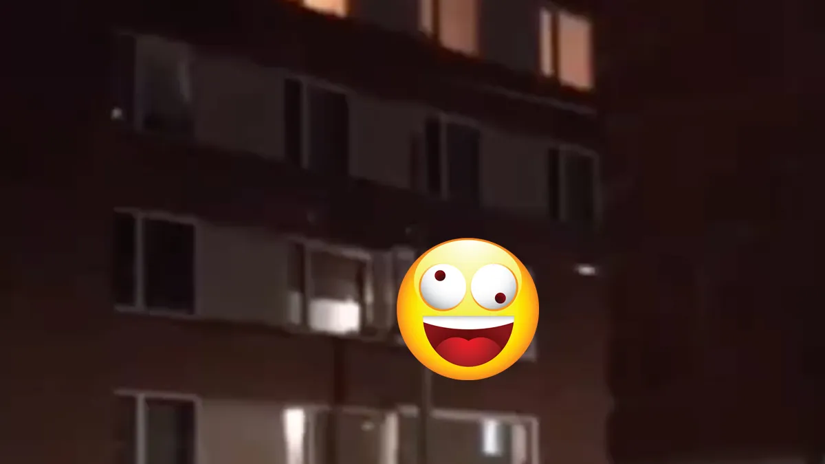 Ondertussen in Spoorwijk in Den Haag: "Hij geeft haar nu doggy"