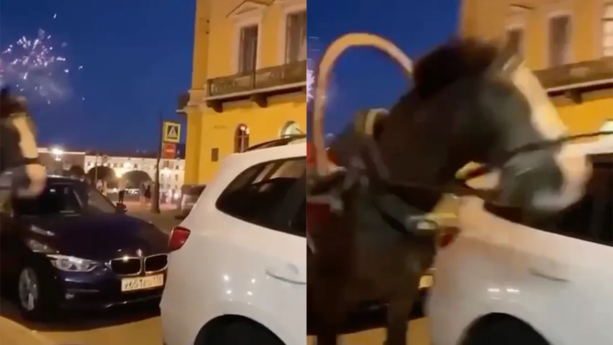 Zit je lekker te eten, rijdt er ineens een paard over je bord