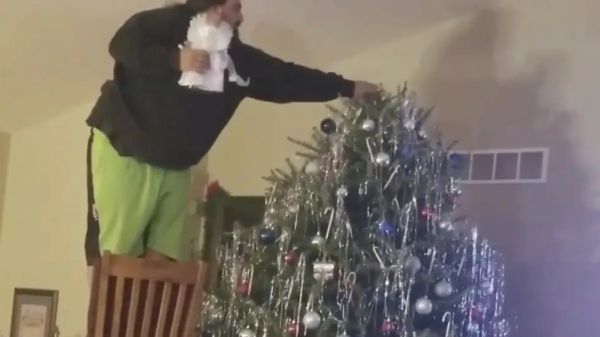 En daar ging dus de kerstboom