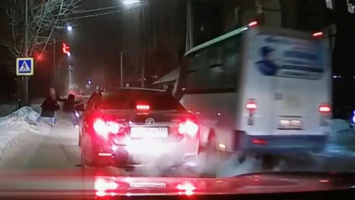 Moederinstinct zorgt ervoor dat koter niet onder bus terecht komt