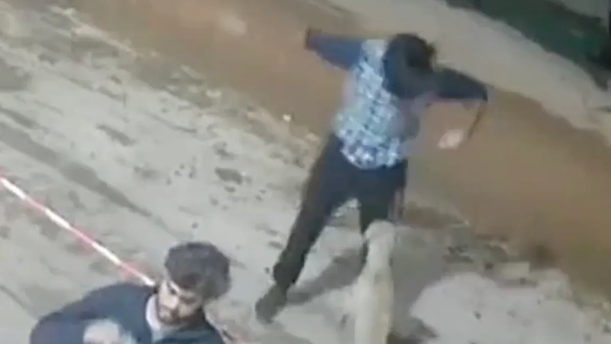 En daarom maak je dus geen schopbeweging naar een hond