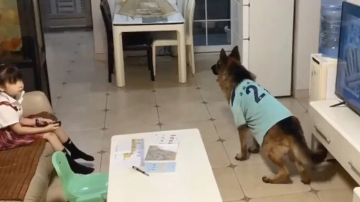 Soms is een hond echt je beste vriend