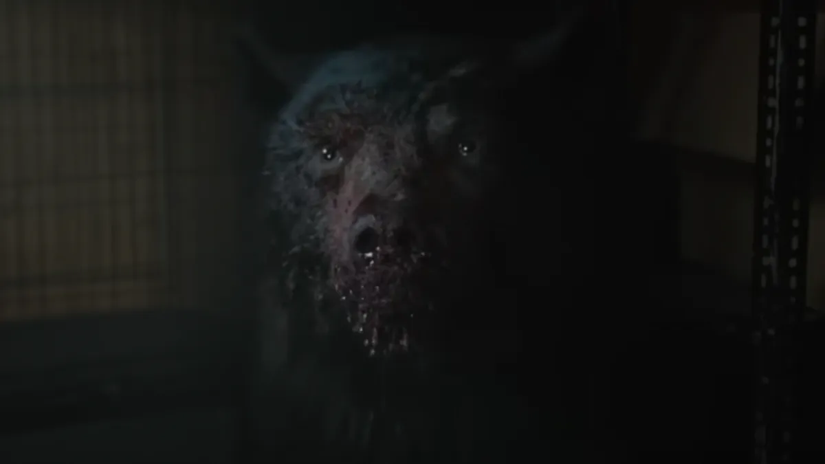 Trailer voor Cocaine Bear is net zo bizar als het verhaal erachter