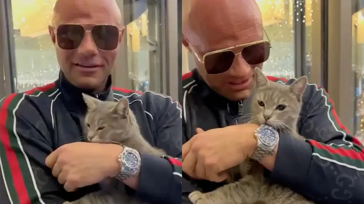 Alex Soze houdt van poesjes, maar poesje duidelijk niet van Alex