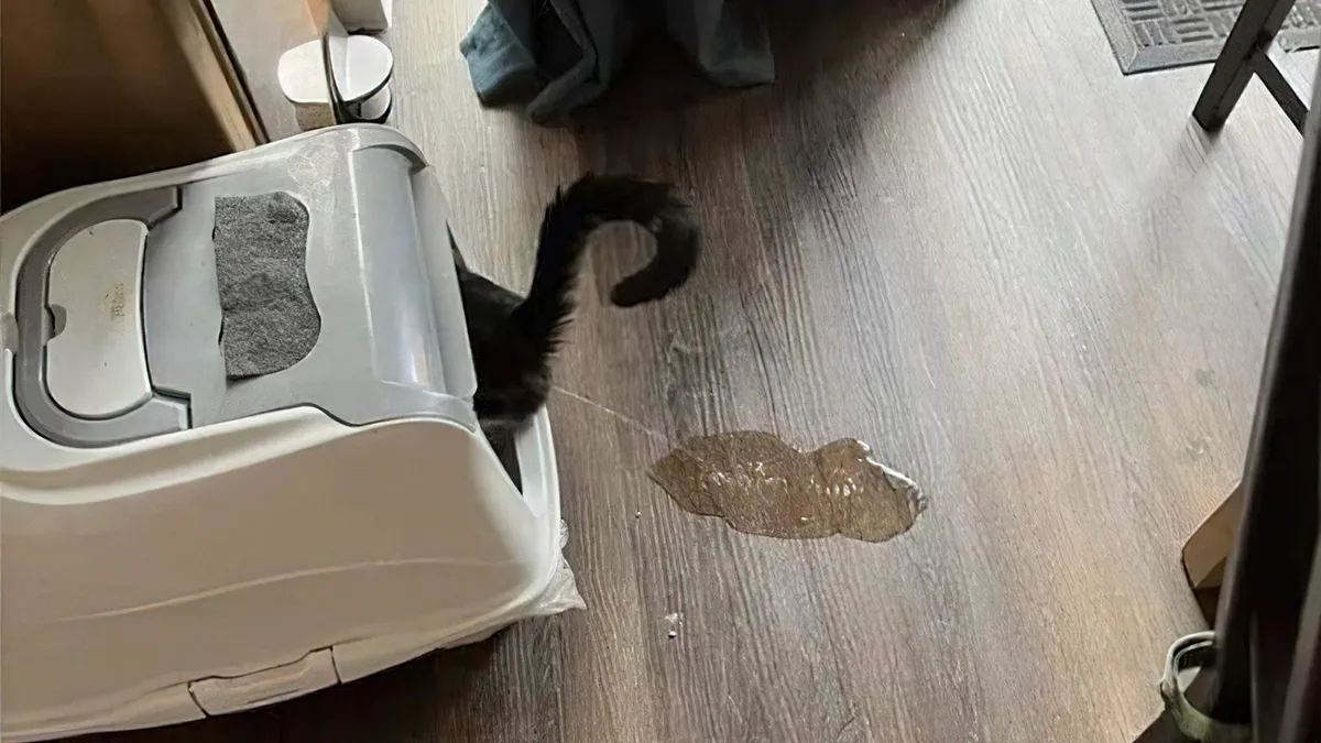 Gewoon een verzameling hilarische foto's #1690