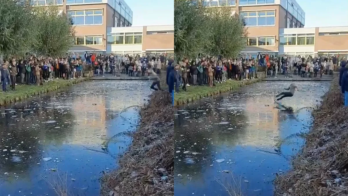 Je hebt altijd van die waaghalzen op school die over te dun ijs lopen