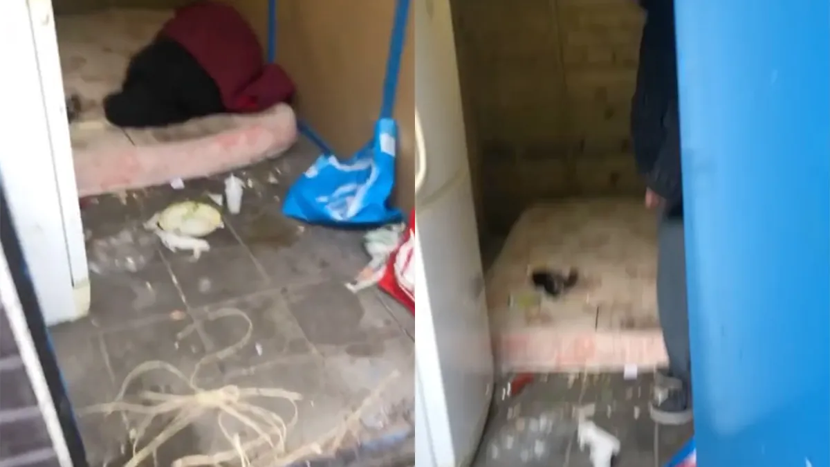 Ondertussen in Rotterdam-Zuid: Ligt er ineens een zwerver in je schuur te slapen