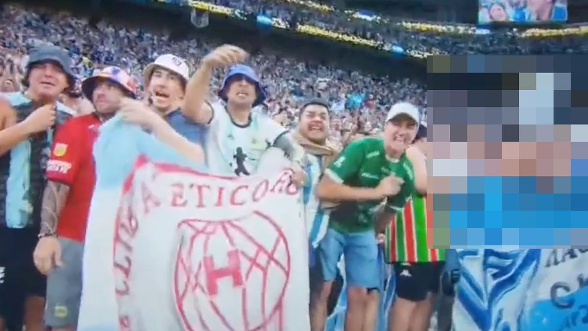 Was daar ineens een topless dame op de tribune te zien tijdens WK Finale Argentinië tegen Frankrijk