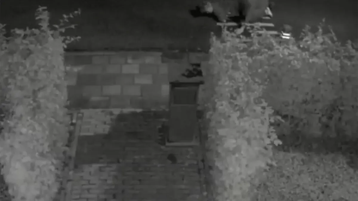 Zuipmaatje op elektrische step naar huis brengen gaat fout