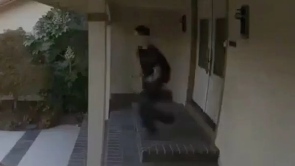 Ring video laat zien hoe het nieuwe jaar meestal van start gaat