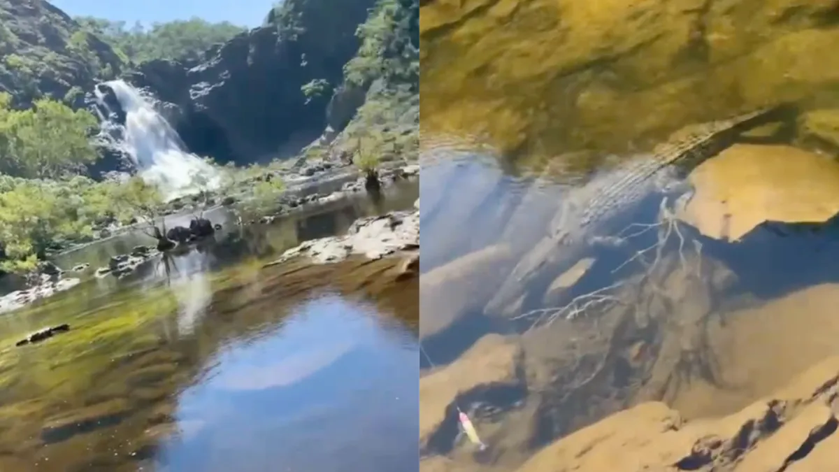 Aussie op Crocs moest in de benen om aanval van echte croc te voorkomen