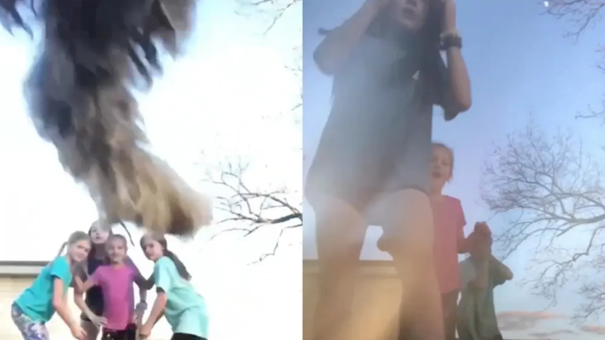 Hondje mag niet meedoen tijdens filmpje opnemen en pakt de hoofdrol