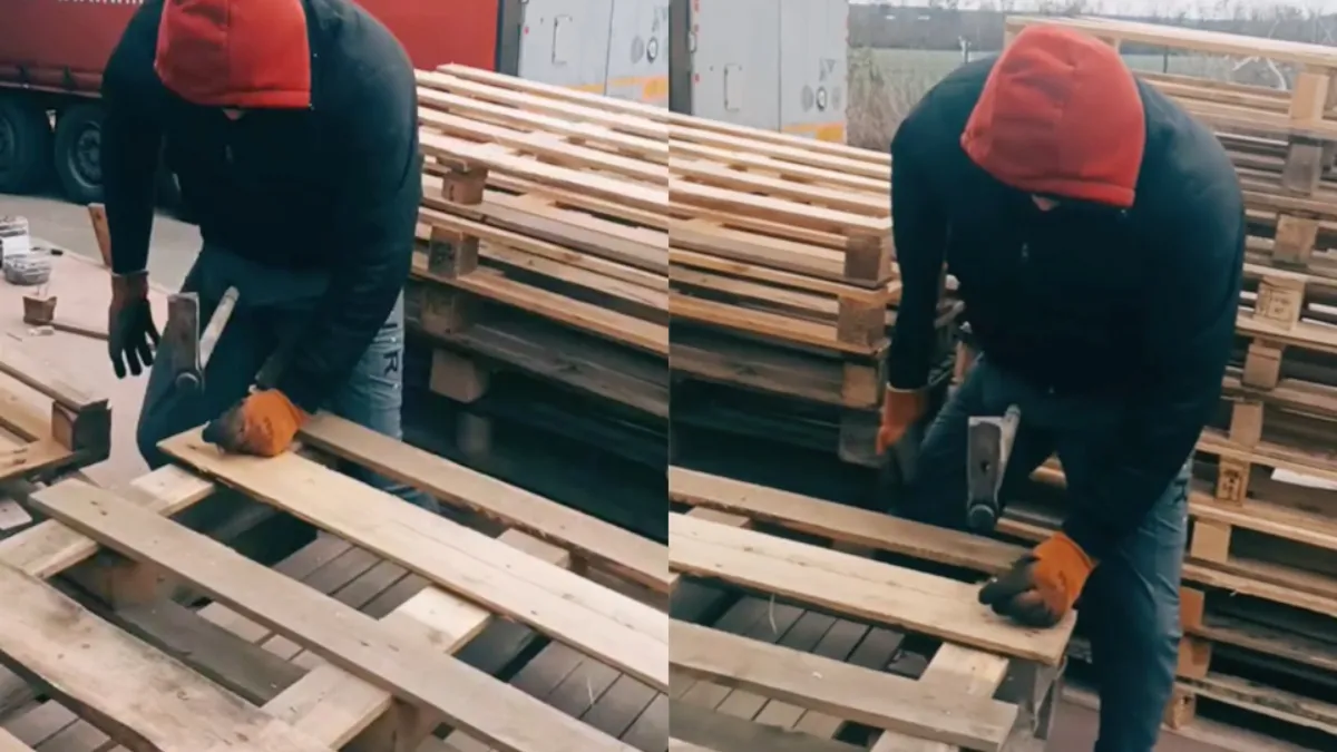 Timmerman doet alsof hij helpende hand krijgt van zijn kleine vriend