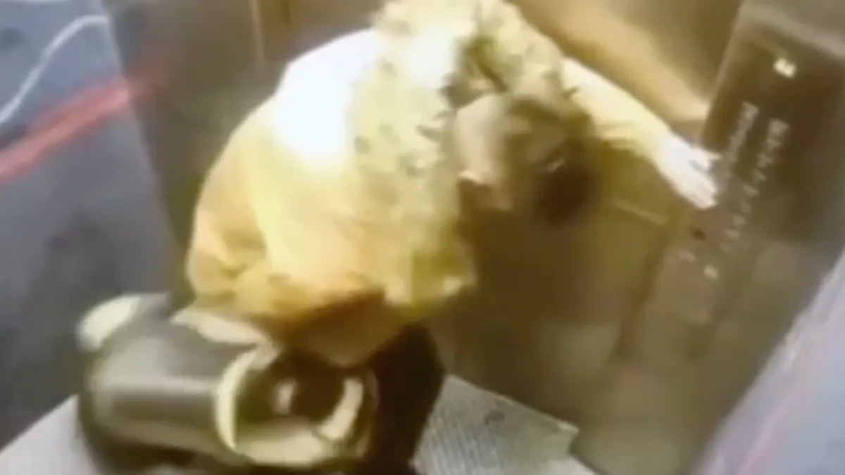 Gast maakt wel een heel erg wild ritje in een lift