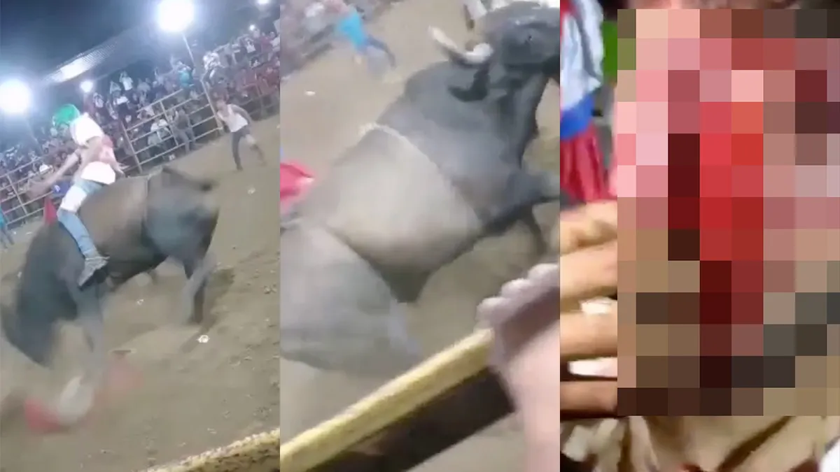 Man maakt kennis met principe 'When you mess with the Bull, you get the Horns'