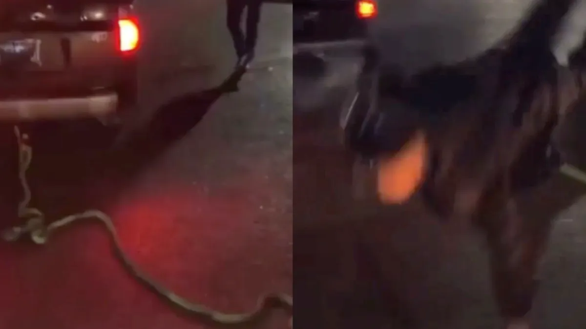 En zo leert een jongeman een wijze les over sleepkabels