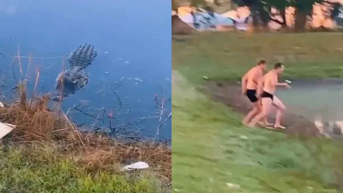 Je maatjes willen zwemmen, maar of dat alligator technische echt een goed idee is…