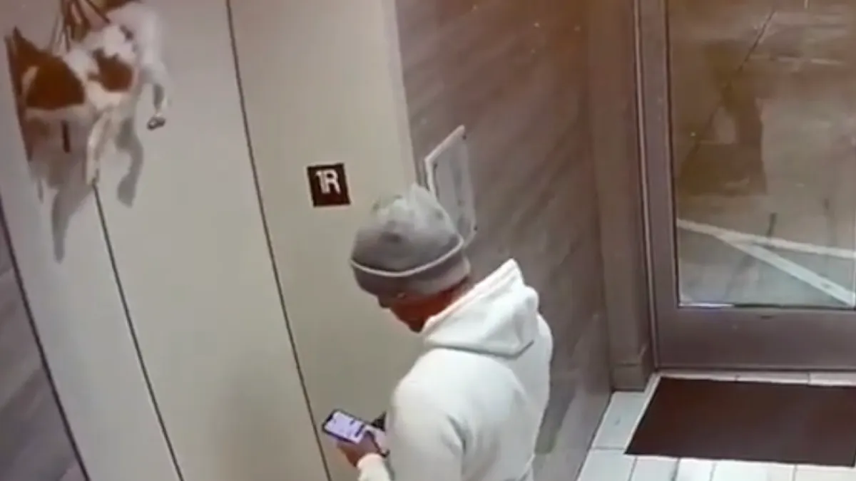 Toch schrikken als er een hondje bij de lift hangt