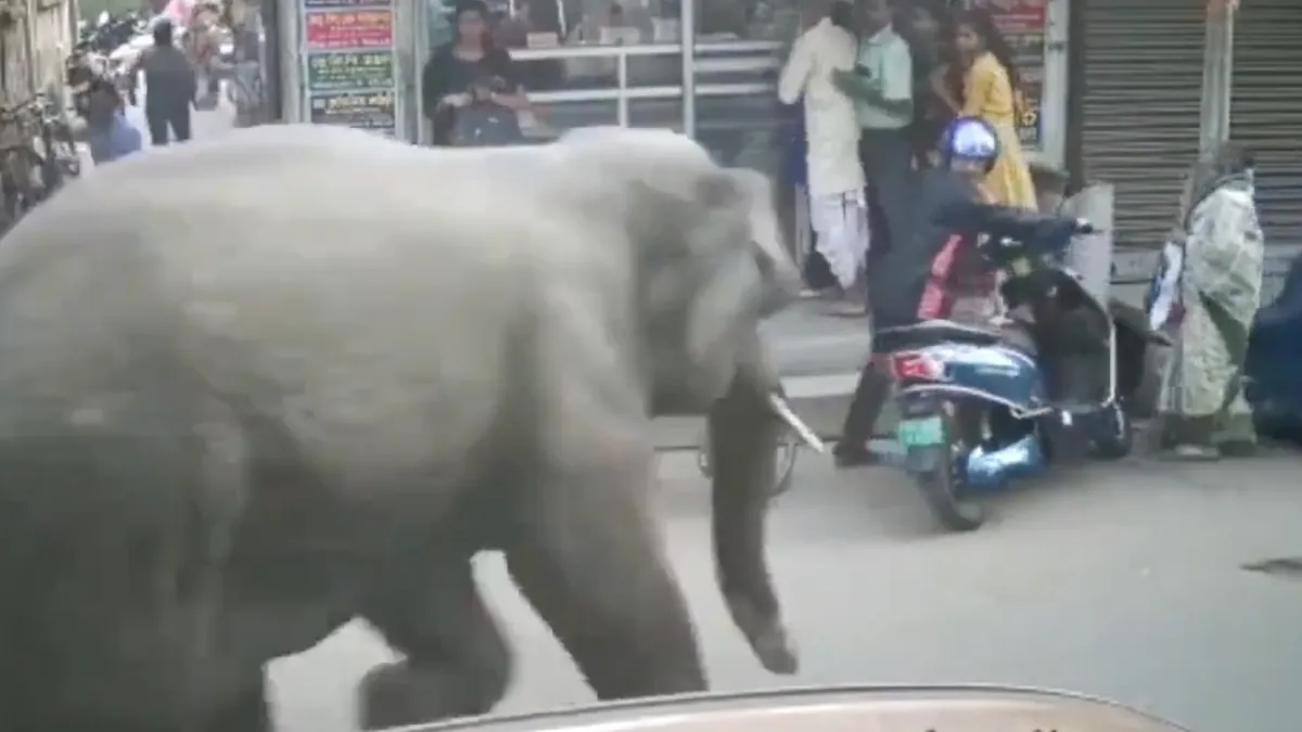 India dingen waar je soms toch mee te maken hebt in India