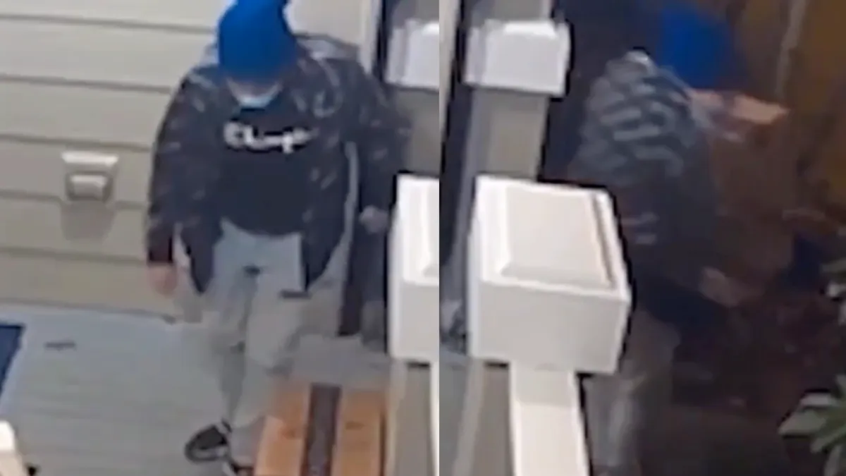 Pakketdief maakt kennis met karma