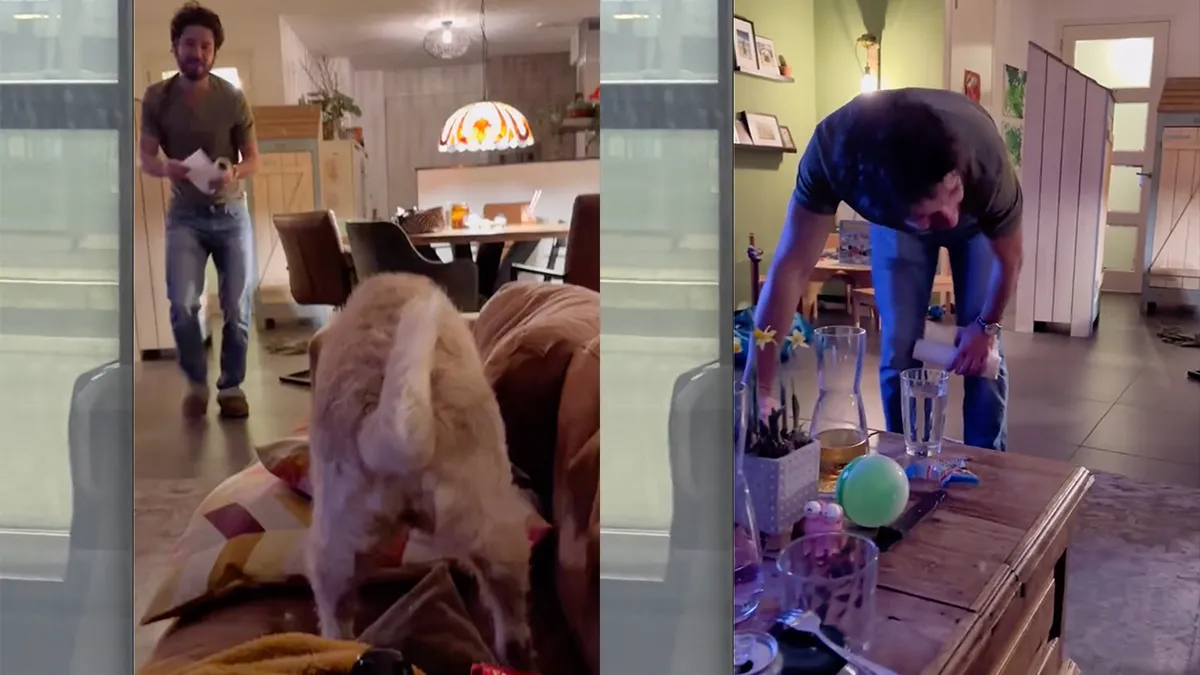 Agossie, hondje is ziek en je telefoon heeft de volle lading opgevangen