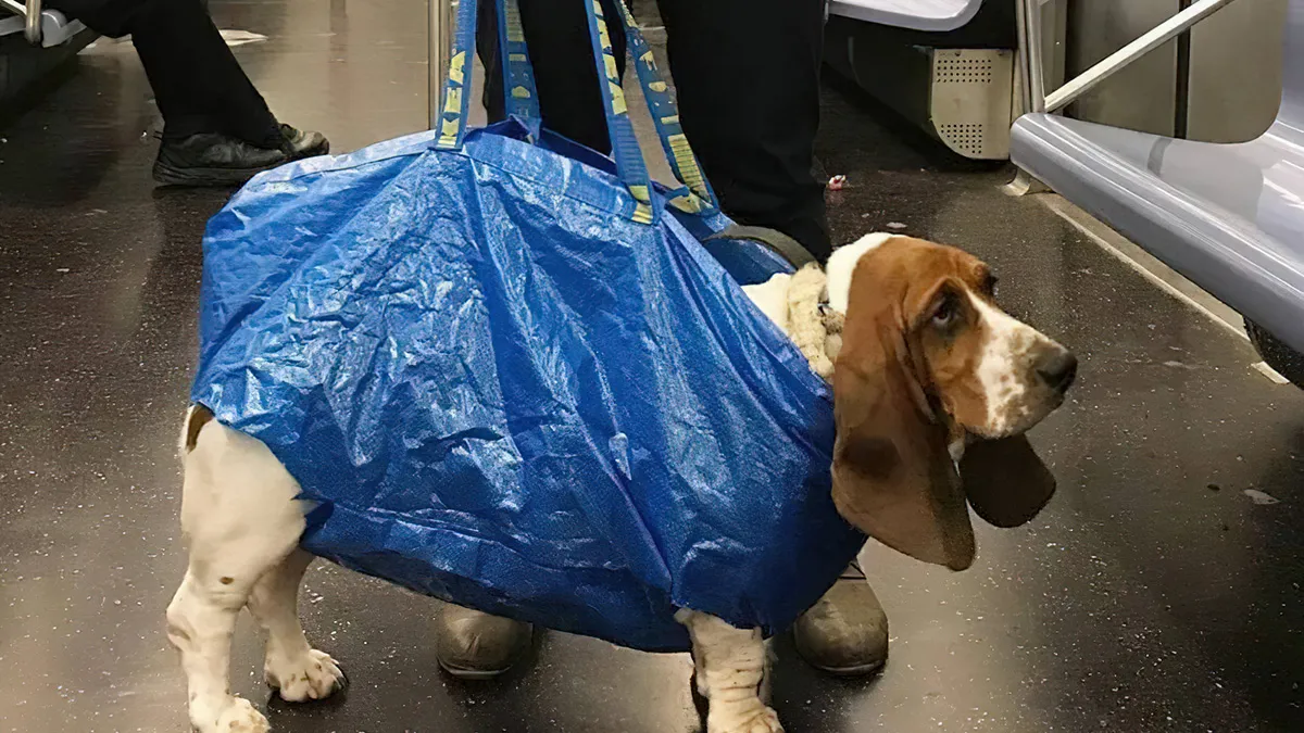 Gewoon een verzameling hilarische foto's #1719