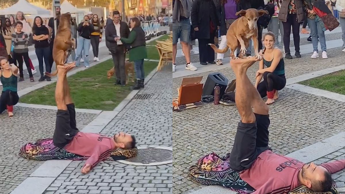 Hond maakt act van straatartiesten past echt compleet