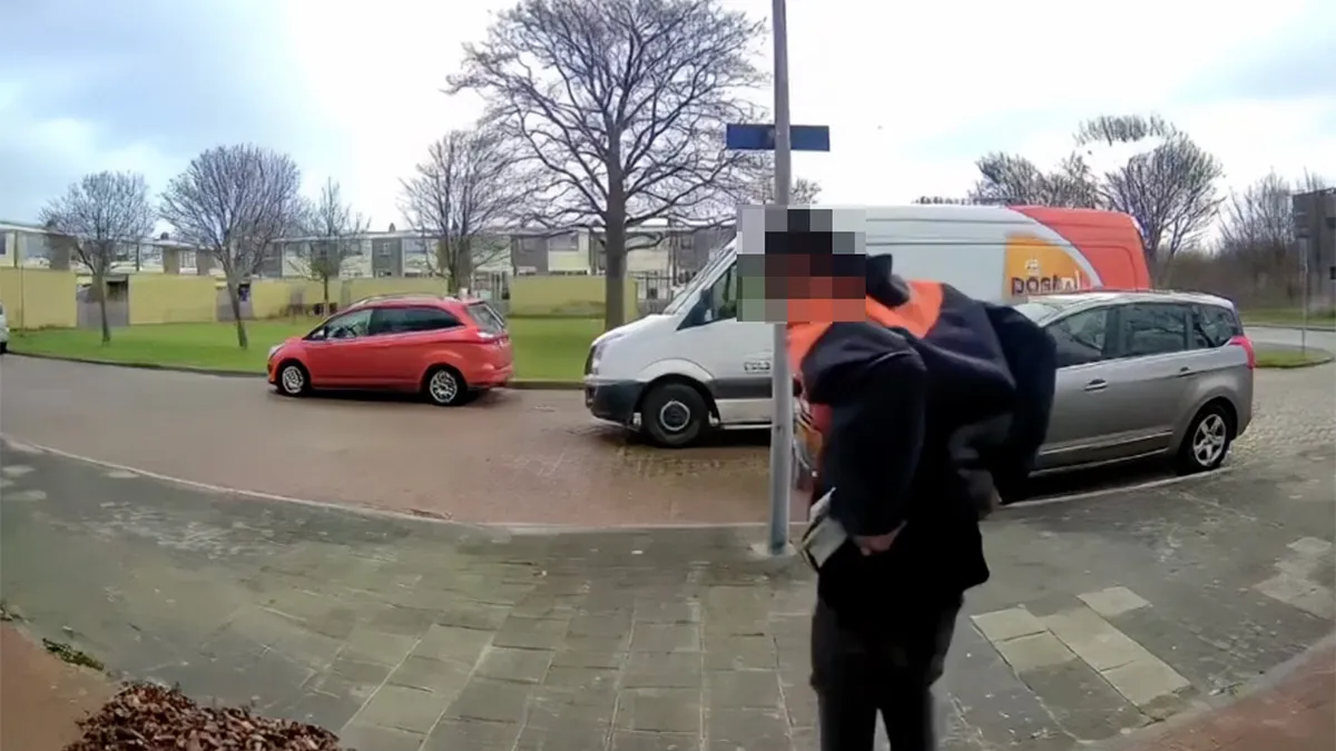 Je bent bezorger en je ziet een berg bladeren, wat doe je?