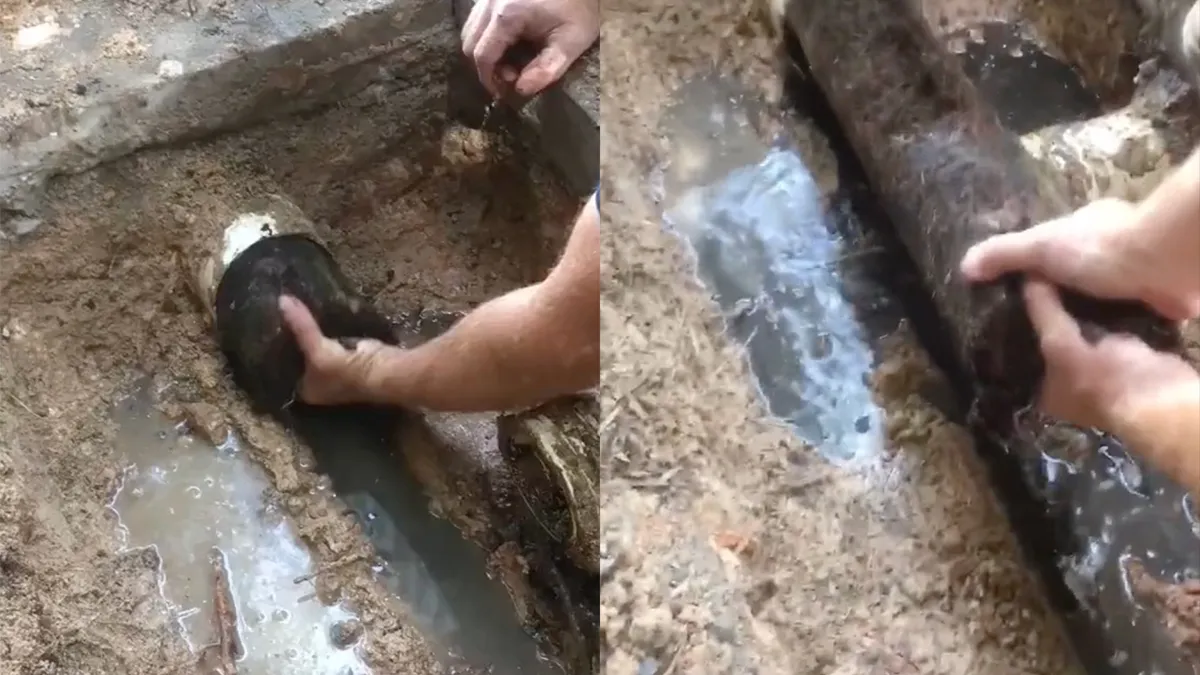 Loodgieter trekt wat uit een buis en dat is bevredigend