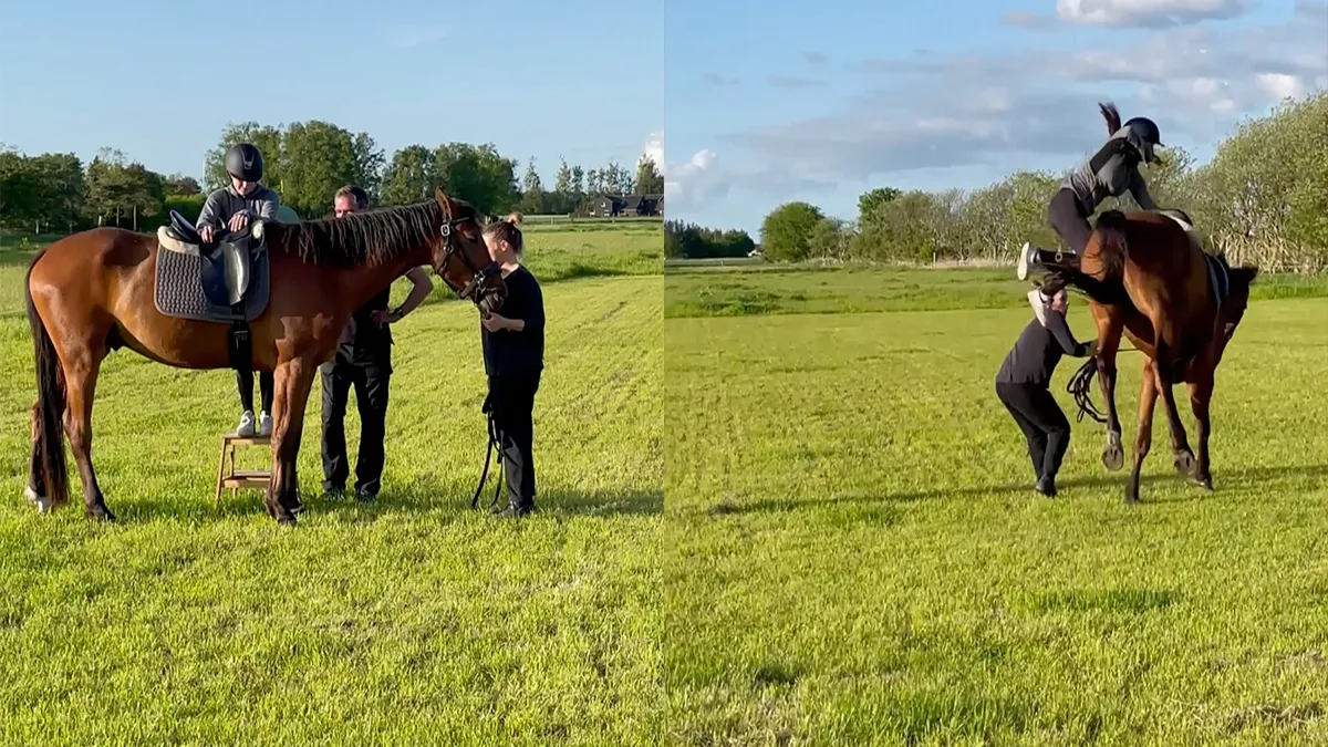 Paard schrikt van zijn eigen scheet en gaat rennen