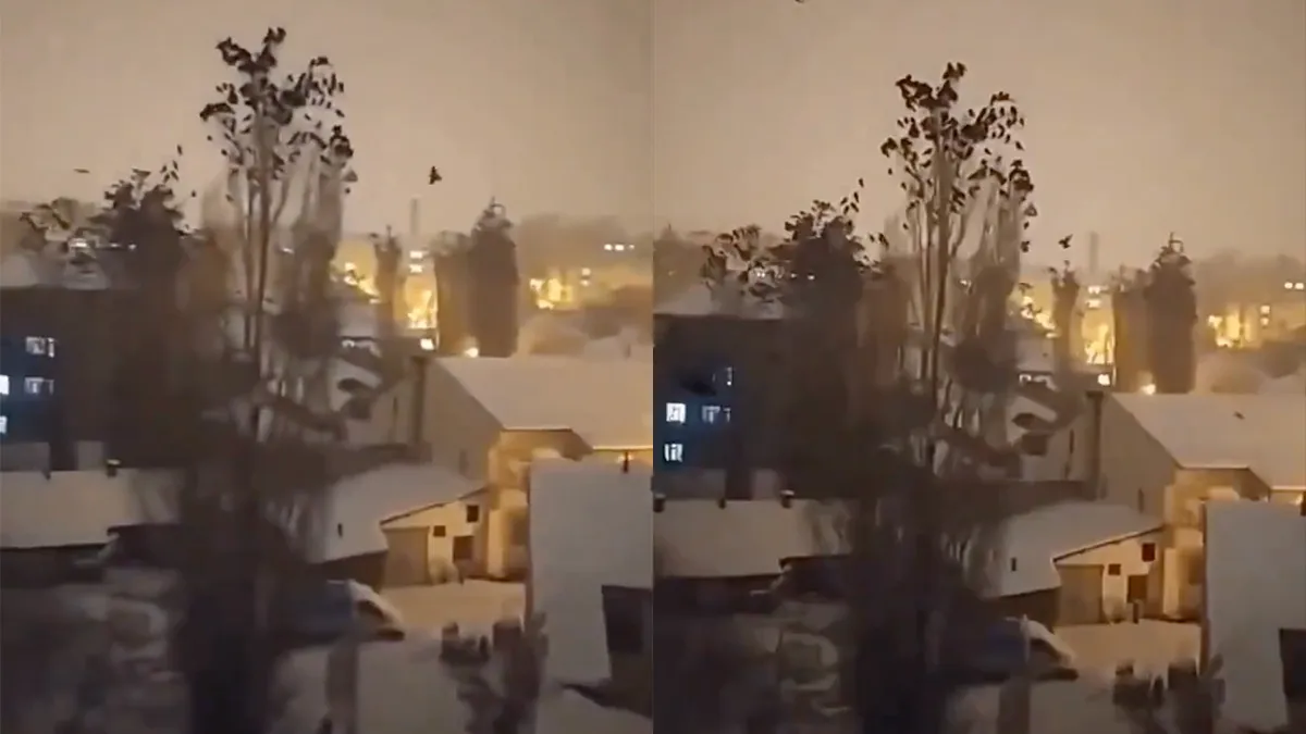 Vogels in Turkije vertoonden vreemd gedrag en leken aardbeving aan te kondigen