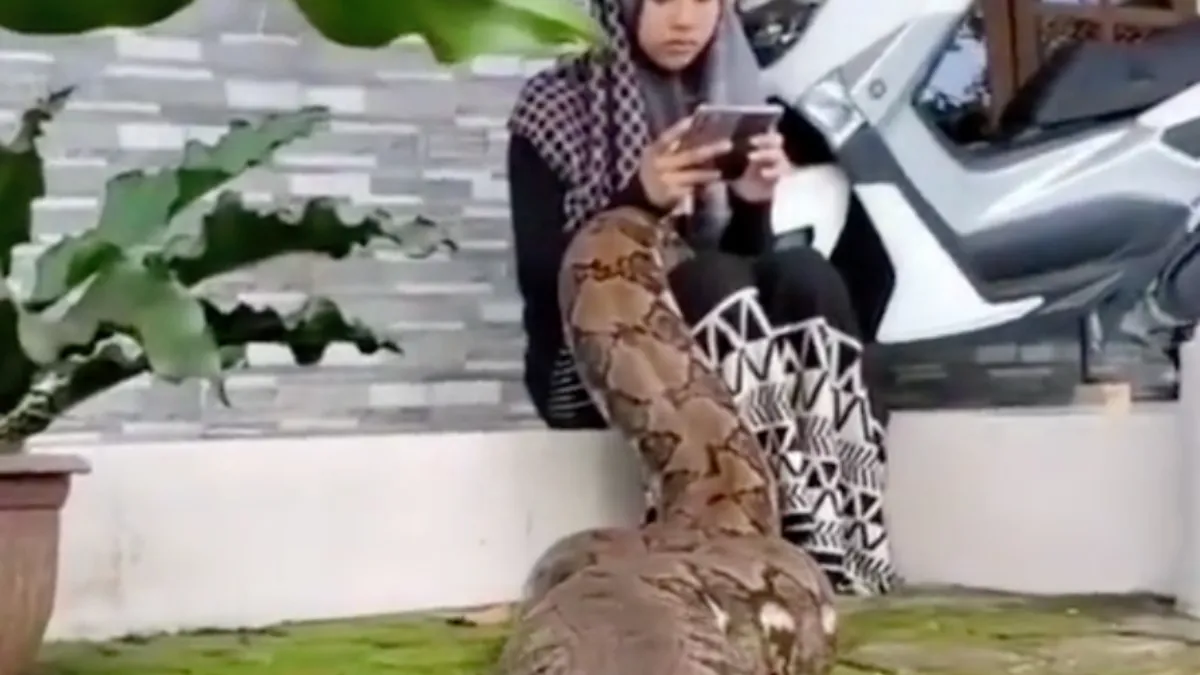 Hallo jongedame, er kruipt wat tussen je benen