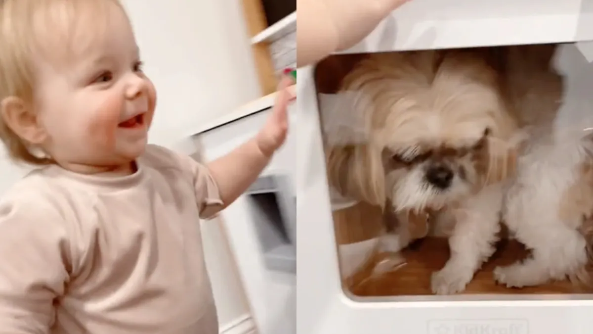 Baby Chelsea Anne is heel slecht en heel grappig at the same time