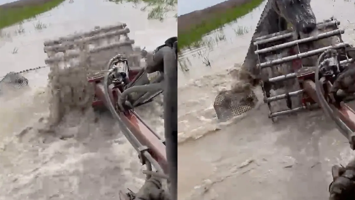 Alligator bijt zich vast en zwiert even mee