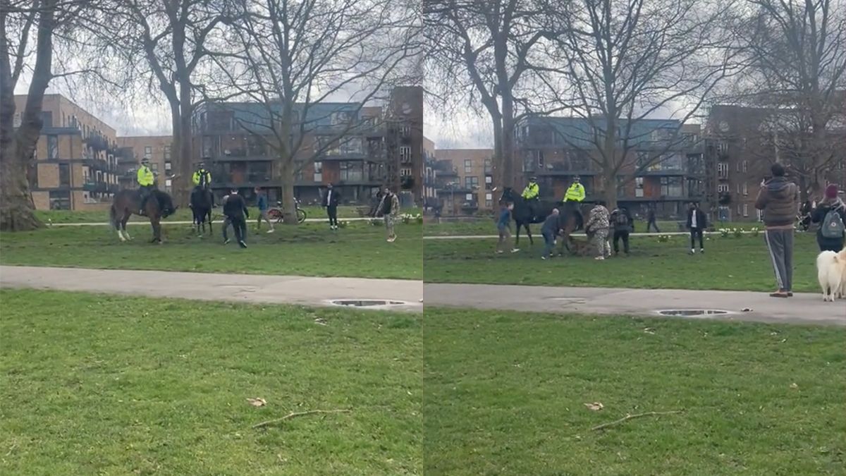 Losgeslagen pitbull valt politiepaard aan in park in Londen
