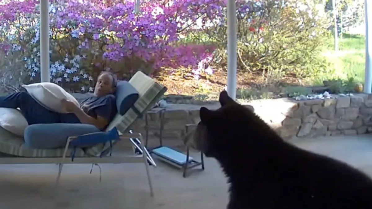 Kerel en beer schrikken tegelijkertijd van elkaar