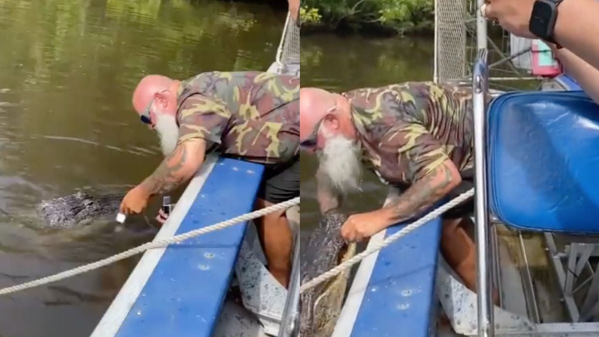 Airboat gids had toch even spannend momentje met een alligator