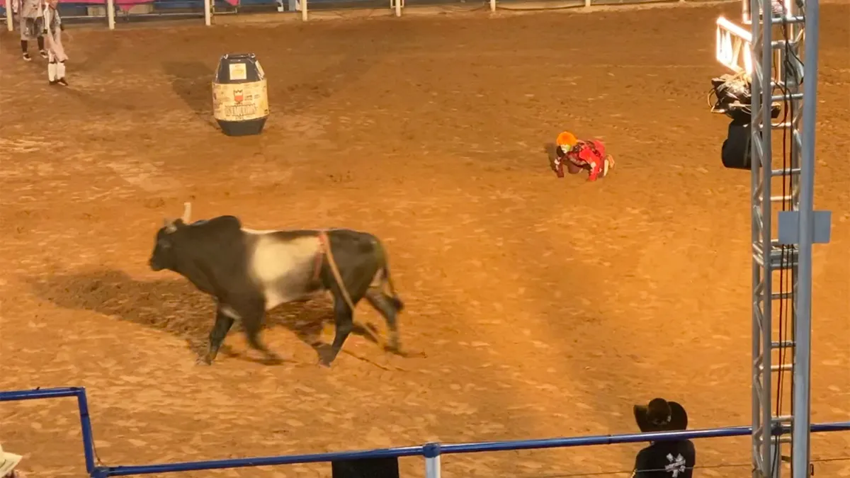 Rodeoclown net op tijd uit arena