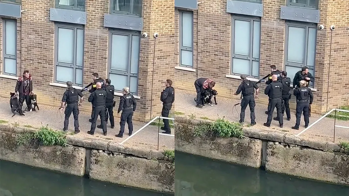 Politie Londen schiet 2 honden dood en tasert baas van de honden