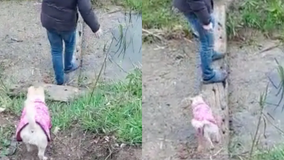 Engelsman blijkt over voorspellende gaven te beschikken