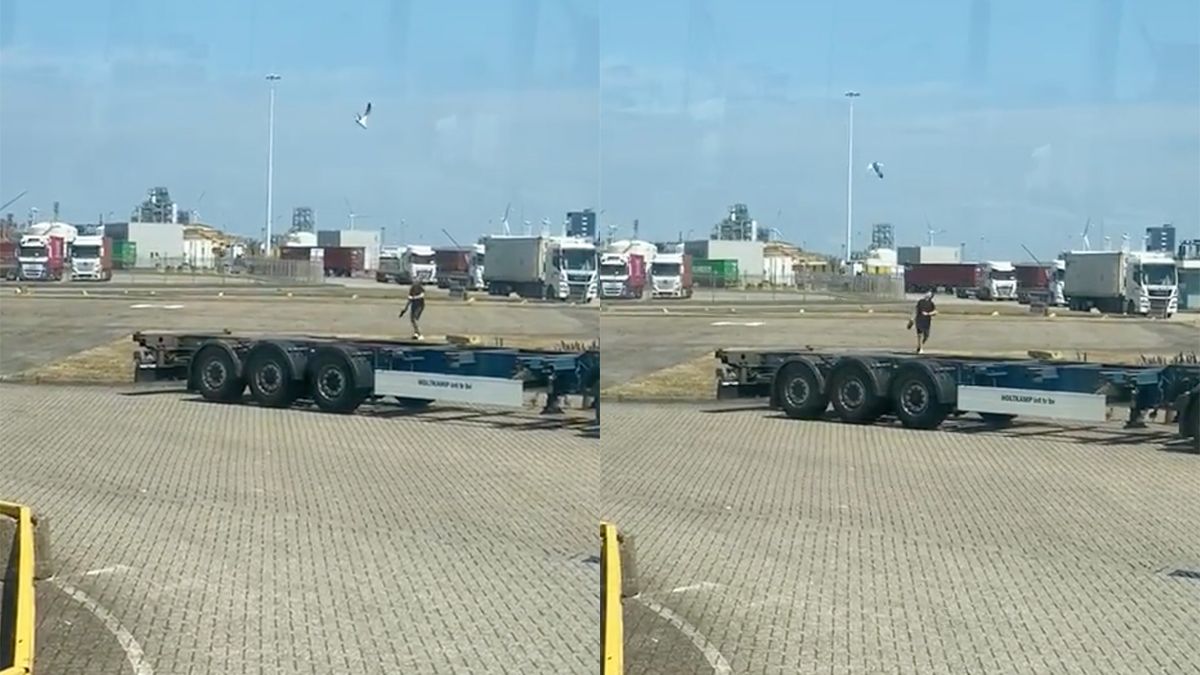 Chauffeur in Rotterdamse haven heeft ruzie met een meeuw