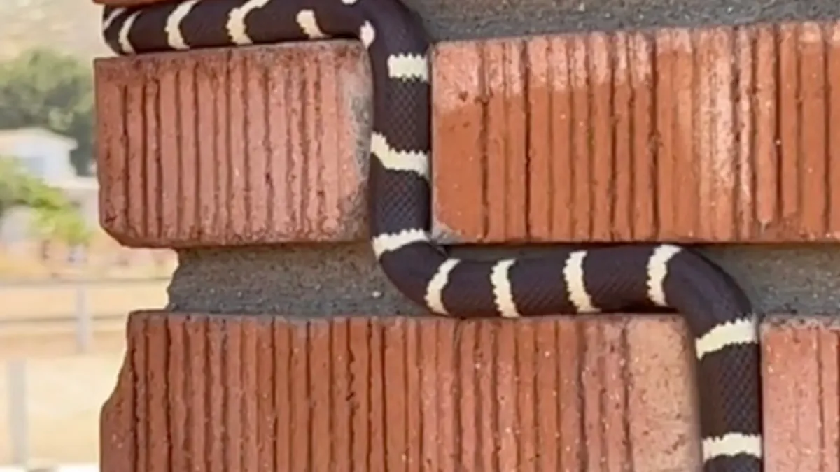 Lekker voegen! Met hindernissen…