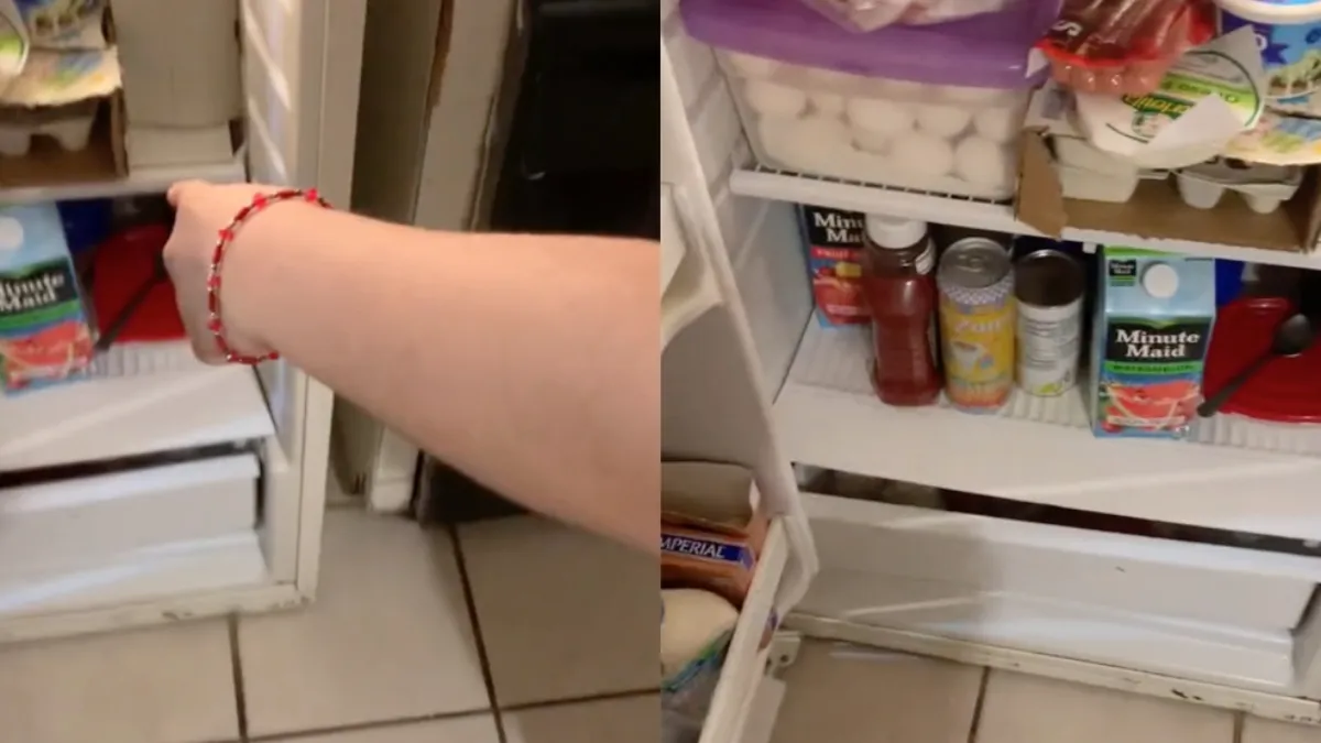  Hond is er klaar mee en besluit in koelkast te verblijven 