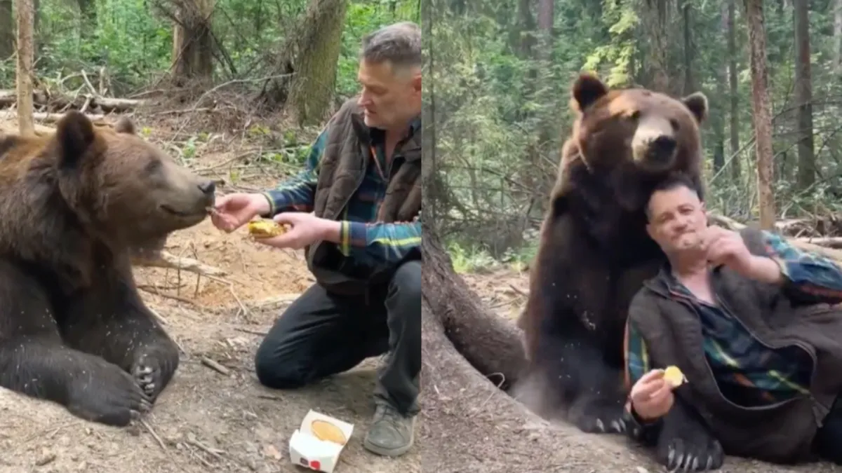 In Rusland ben je vriendjes met de beer