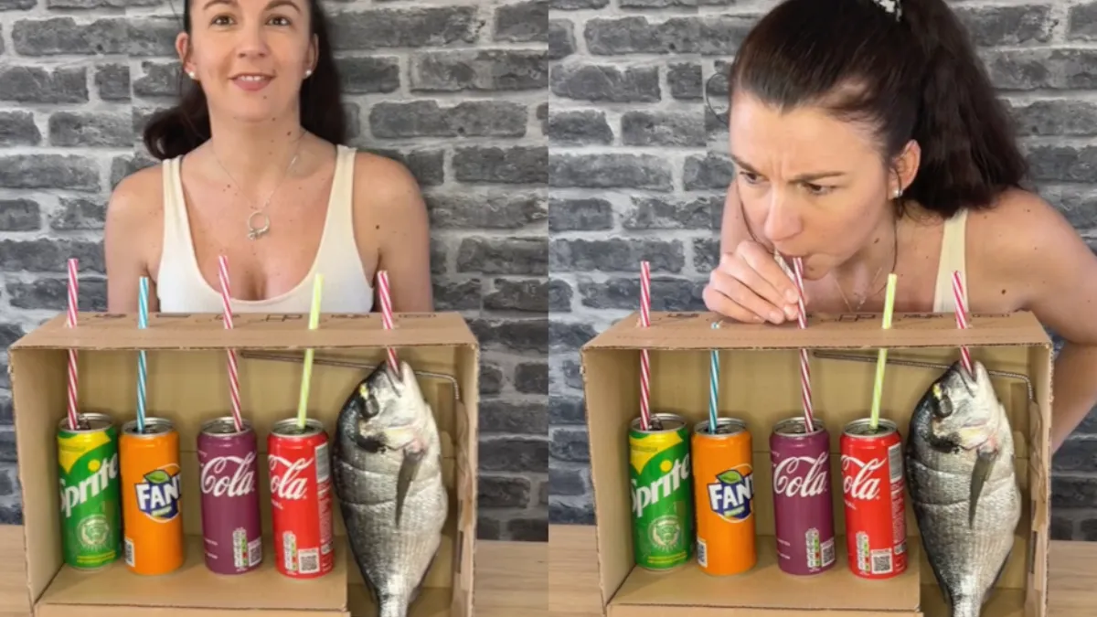 Franse meid krijgt heel veel spijt van spelletje raad de smaak 