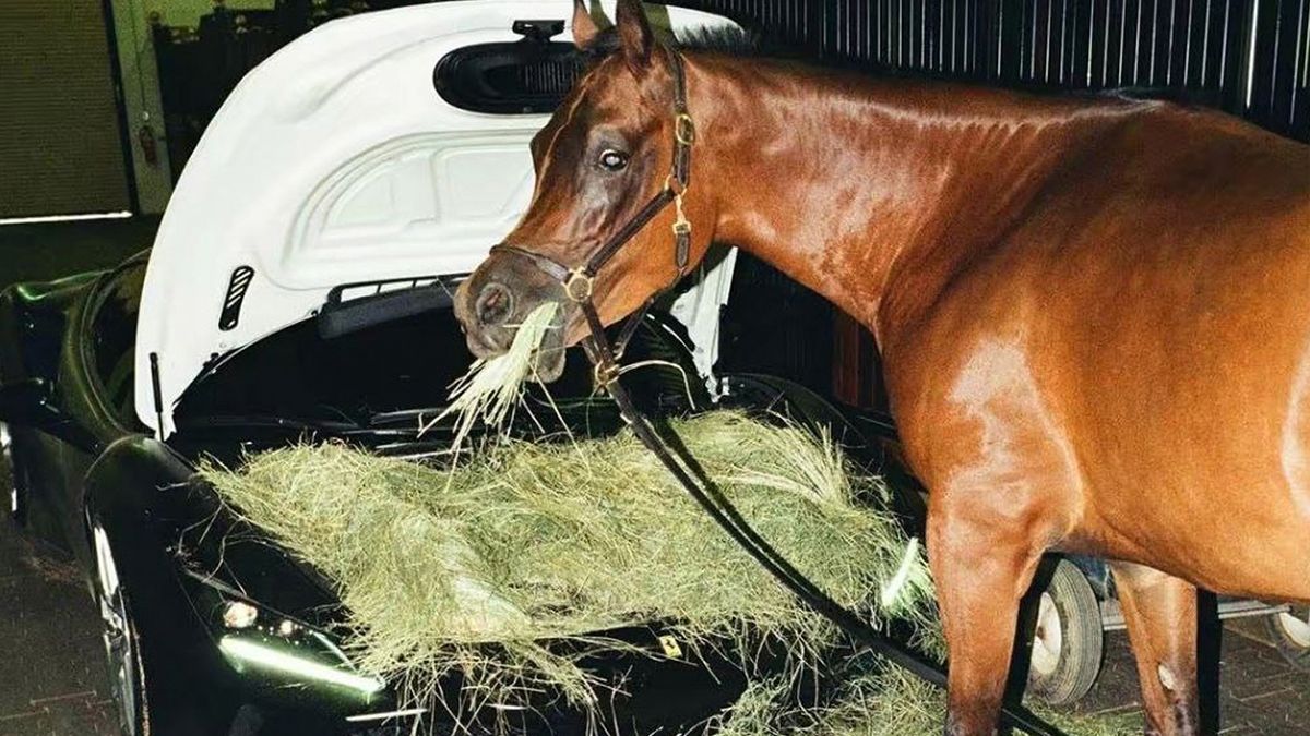 Je wilt natuurlijk het beste voor je paard, dus ook een mooie voerbak