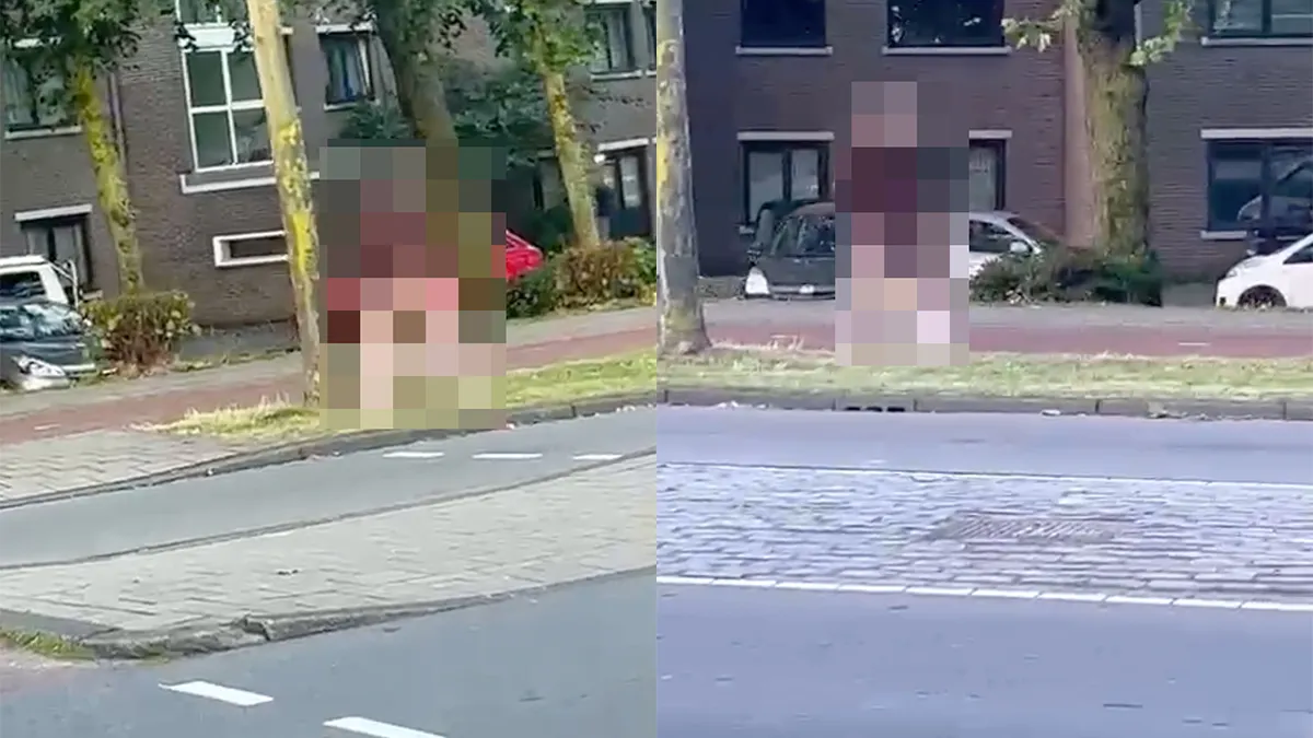 Nee joh, natuurlijk is een stoelpoot op een plek steken waar de zon nooit schijnt niet gek...