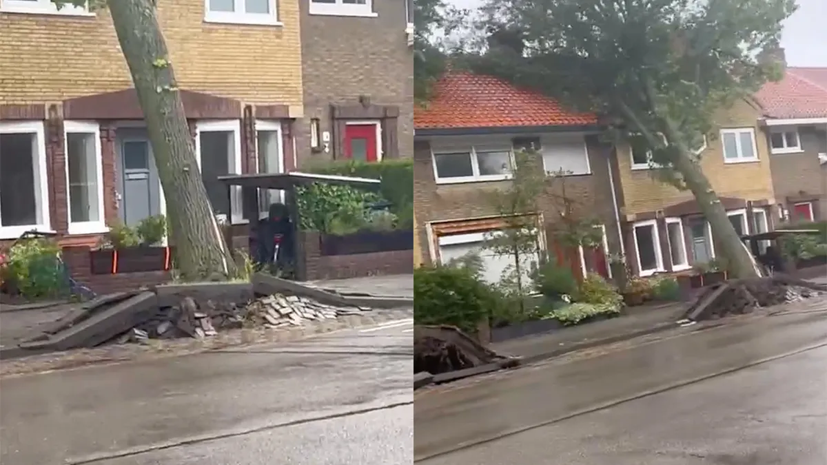 Ondertussen tijdens storm Poly: 'Zachtjes tikt een boom tegen mijn zolder aan'