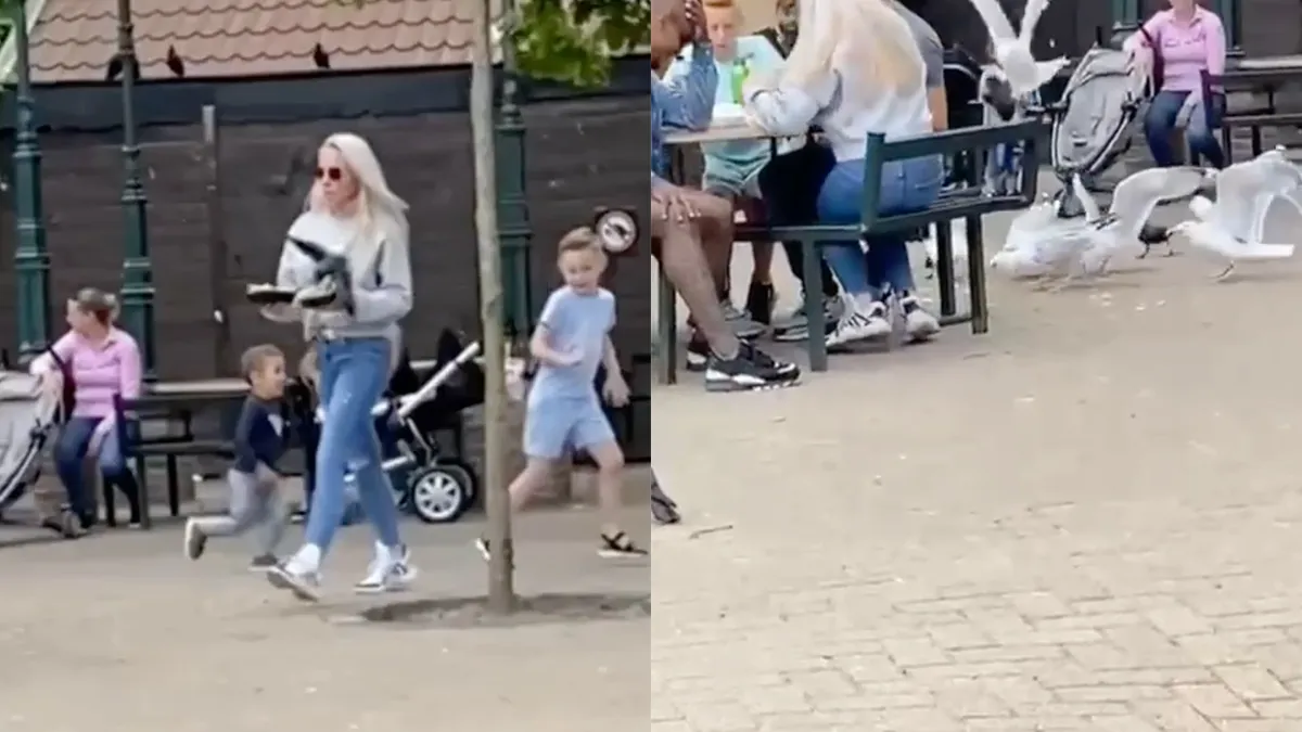 Wel een beetje oppassen voor vogels in Duinrell